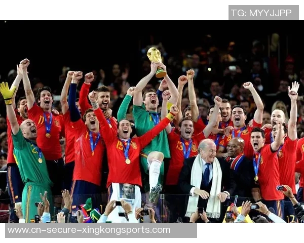 2012年欧洲杯精彩赛事回顾与最终结果分析